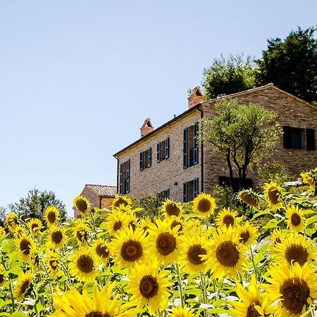 Casavostra - Ambience Suites Ostra Vetere Exteriér fotografie