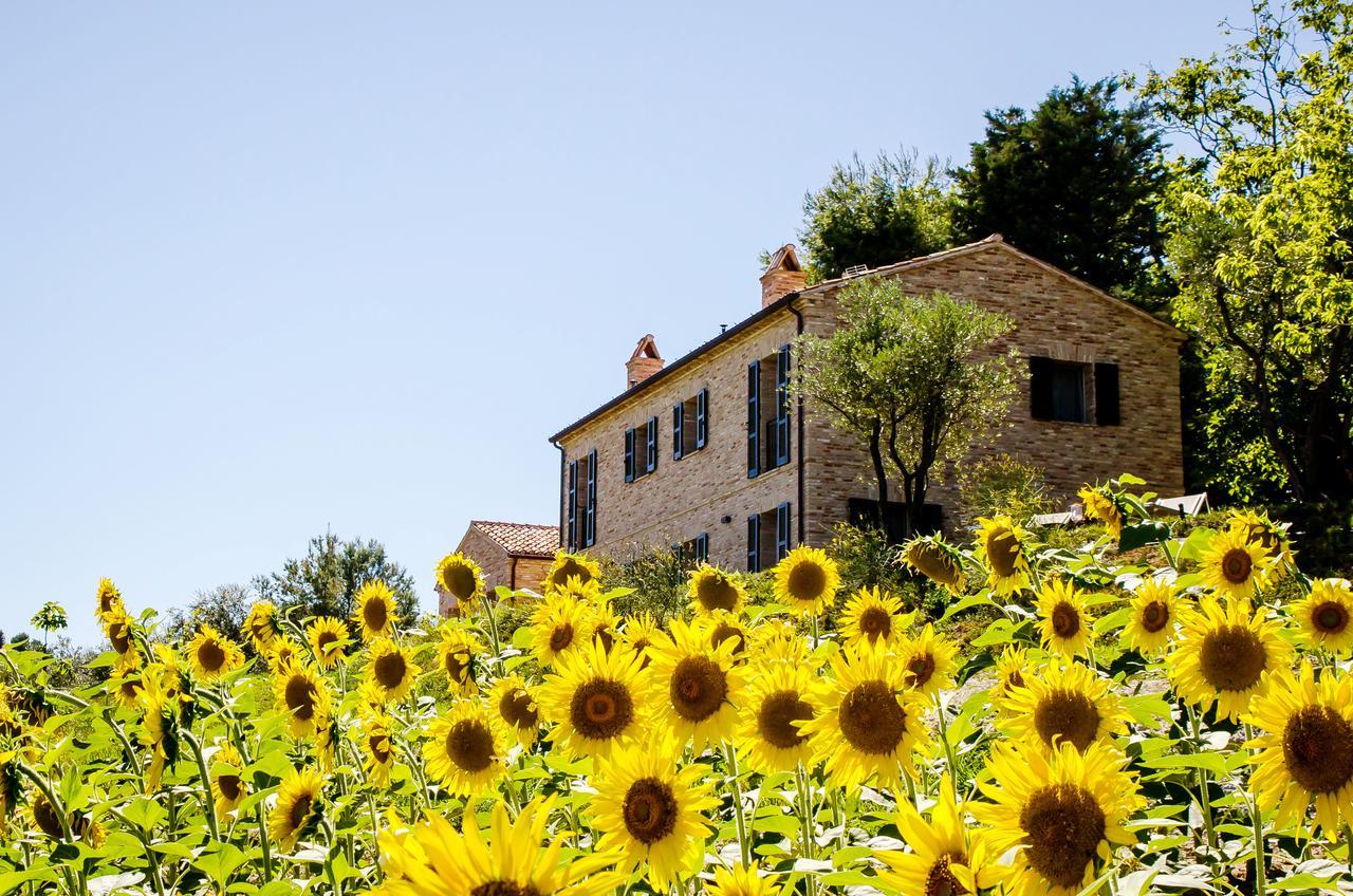 Casavostra - Ambience Suites Ostra Vetere Exteriér fotografie