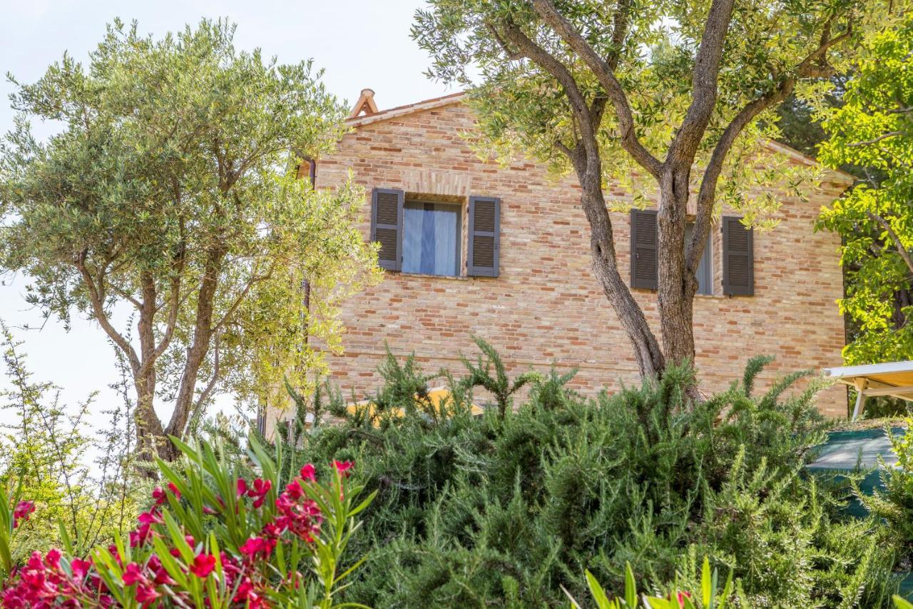 Casavostra - Ambience Suites Ostra Vetere Exteriér fotografie